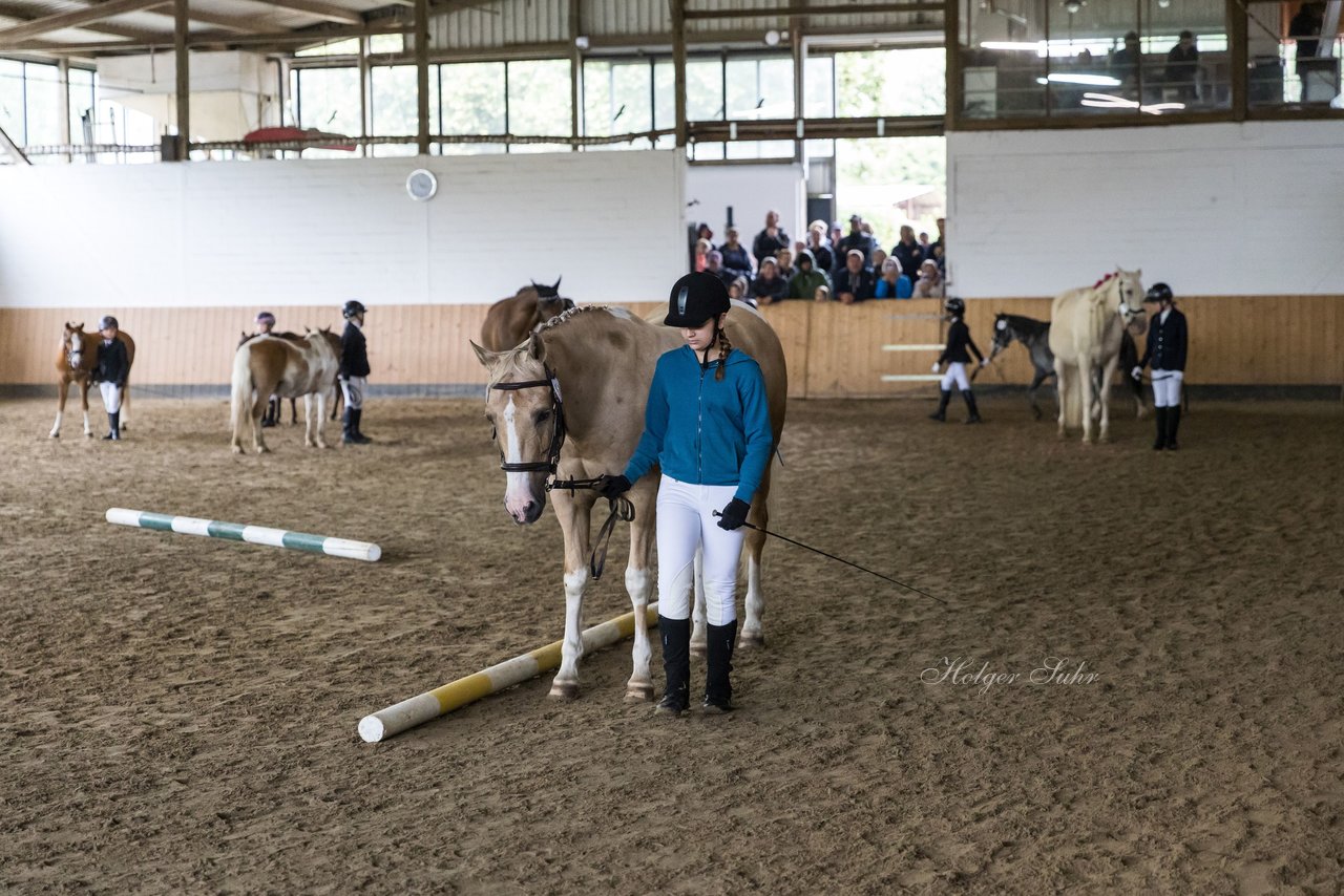 Bild 38 - Pony Akademie Turnier